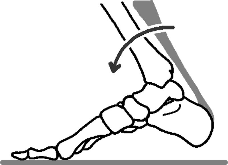 アキレス腱が柔らかい人の着地した際の足の骨図解