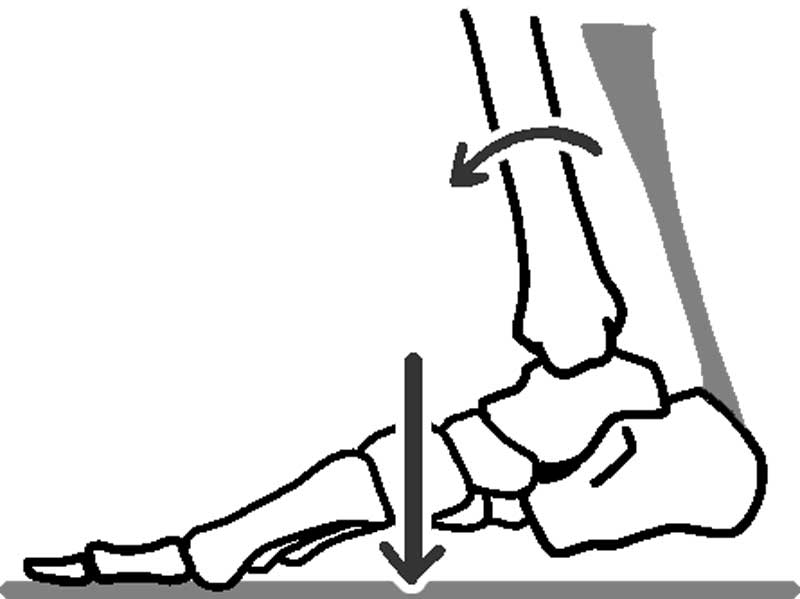 アキレス腱が硬くすねが前に倒れにくい足の骨図解