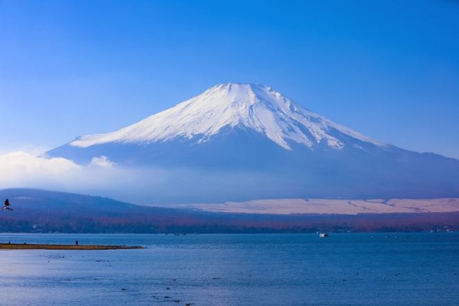 富士山系の水には豊富なミネラルが