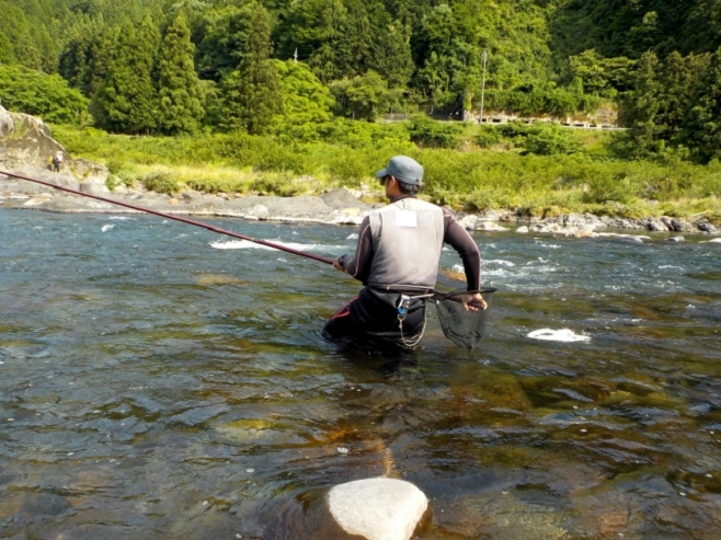 アユ釣りができるのは、川の環境がいいことの証し