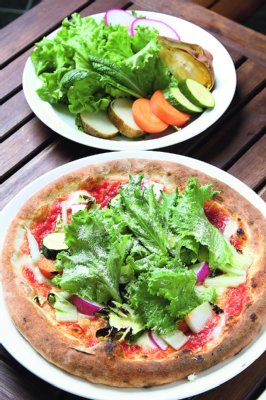 野菜工場で作られた野菜メニュー（ラ・ベファーナ）