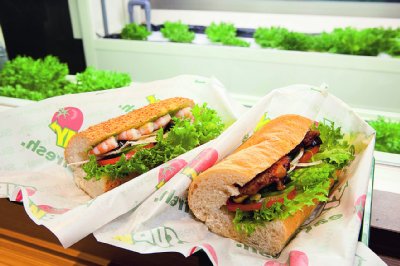 野菜工場で作られた野菜メニュー（サブウェイ）