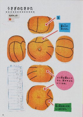 みかんうさぎの設計図