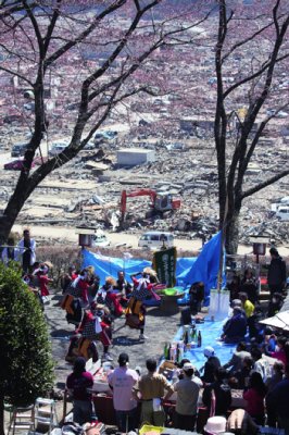 陸前高田市・金剛寺での花見