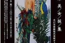 AKBや栗山千明が動植物に変身 『清川あさみ 美女採集』展