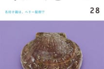 食材のワンテーママガジン『旬がまるごと』が"ほたて"イベント開催
