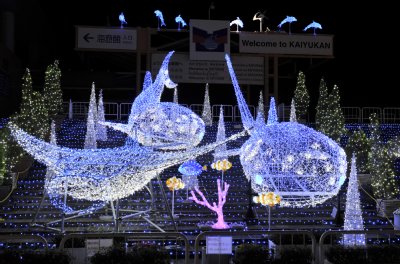 海遊館ウィンターイルミネーション