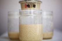 超人気の塩麹 1キロ4000円もある贈答用味噌並の高額商品に