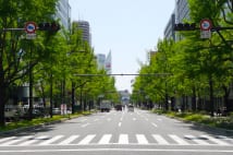美しい大阪の街並みを体現する御堂筋。その昔はたった6m幅だった