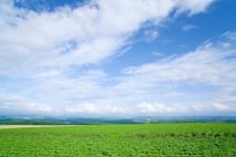 5月29日は「こんにゃくの日」! いま話題の変わり種商品を紹介