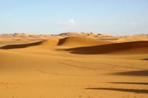 世界に広がる砂漠化問題。そういえば日本に砂漠ってあるんだっけ?
