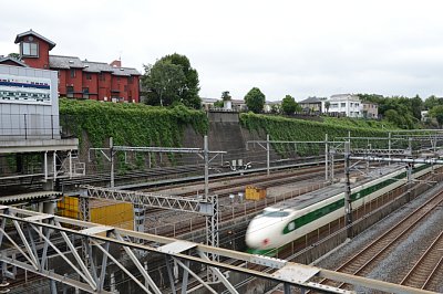 日暮里駅西側の線路脇を通る崖線