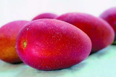 赤色・形・糖度が最優秀の「秀品」大玉