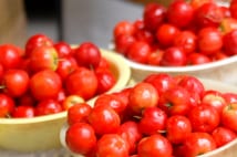 仕事中の疲れやストレスに「アセロラ飲料が良い」と有識者