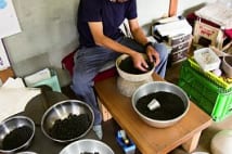この道40年超の花火師 全国大会優勝までに約20年かかった