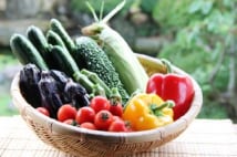 京都人は野菜の味にどん欲