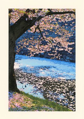 一幅の日本画のような桜の写真