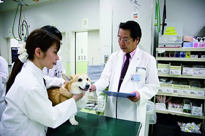 「犬のがん治療」のパイオニア・信田卓男氏