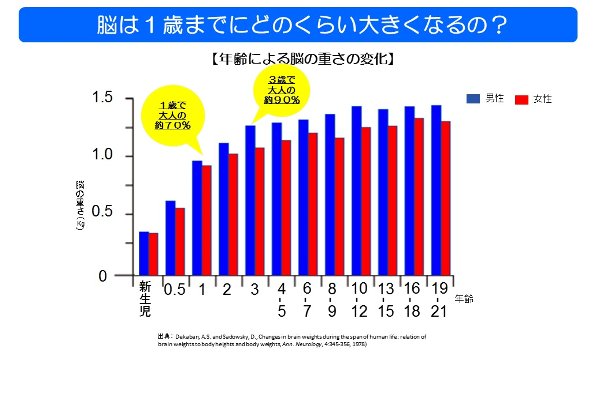 年齢による脳の重さの変化