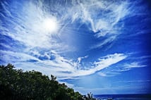 青空に舞い上がる雲龍「ブルードラゴン」を捉えた奇跡の写真