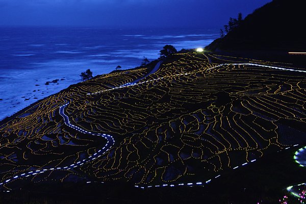 白米千枚田の「あぜのきらめき」（石川・輪島）