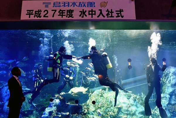 今年で9回目となった鳥羽水族館の「水中入社式」