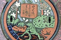 地域の歴史反映するマンホール やせがえるやホタルイカ漁等