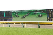 2070万円馬券演出の江田照男騎手の「買い方」を競馬記者指南