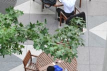 「雇用の流動化」で弾き出された労働者の運命は？