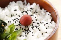 ご飯に梅干し、カレー粉の使用など 夏のお弁当対策10か条