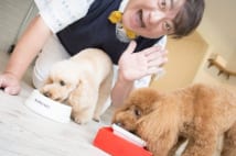 愛犬に手作り食の彦麻呂 胃に優しい超簡単犬用レシピを伝授