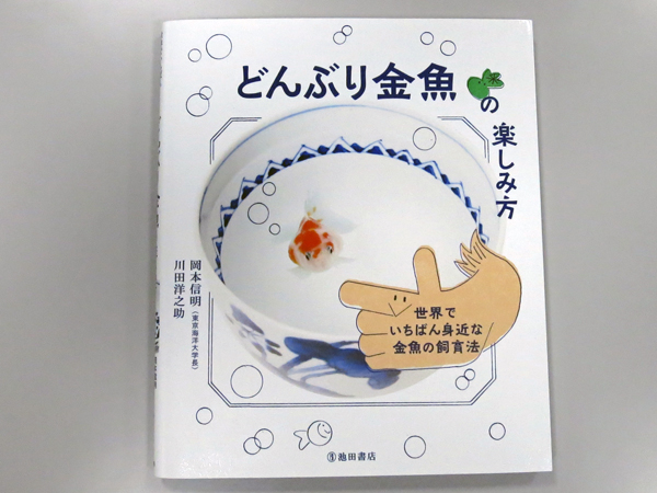 どんぶり金魚が人気の理由 呼ぶと応えてくれる と愛好家 Newsポストセブン