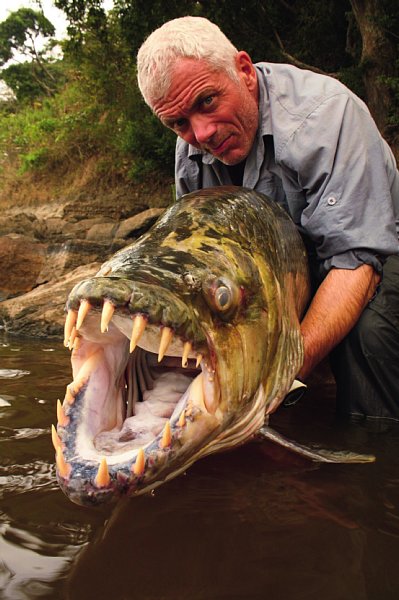 英生物学者が捕らえたクロコダイル襲う巨大怪物魚は45kgある Newsポストセブン