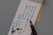 人気拡大中の一筆箋 かしこまらずに書けるのが何よりの良さ