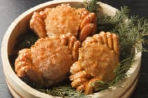 減り続ける毛蟹の漁獲量