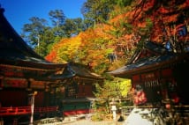 奥秩父の三峯神社で大渋滞　浅田真央も持つお守り目当てか