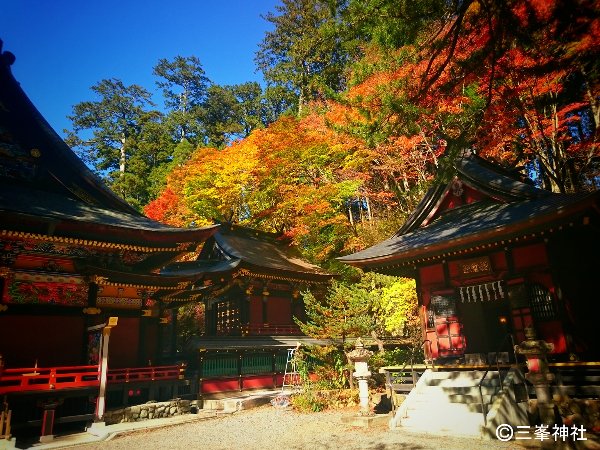 紅葉が美しい奥秩父の三峯神社