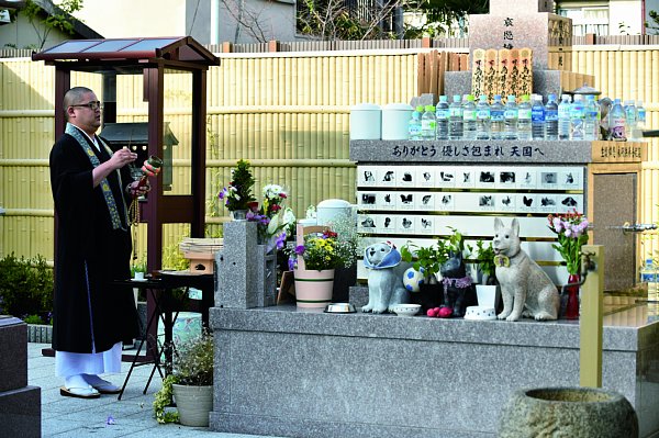 泰聖寺には動物供養塔が建立され多くの人が訪れる