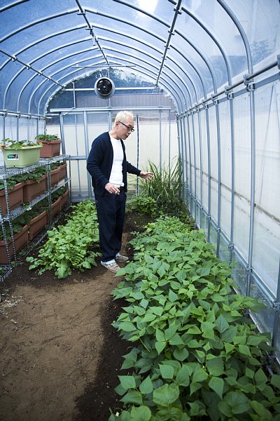 ガレージの脇にあるビニールハウス。青梗菜、カブ、つるなしインゲンなどが青々と茂っていた