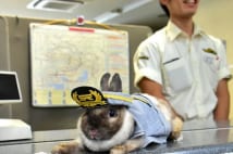 埼玉高速鉄道 初の駅長は浦和美園駅・うさぎの「ラビたま」