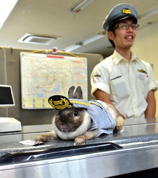 浦和美園駅のかわいい駅長「ラビたま」