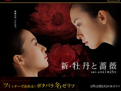 カオスな展開で話題の『新・牡丹と薔薇』（公式HPより）