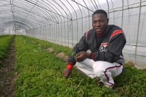 日本で夢を掴んだブルキナ初のプロ野球選手　試合後は農作業
