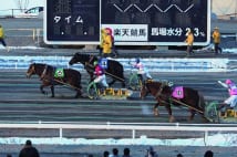 入場者数過去最高の「ばんえい競馬」　地道な努力が実った