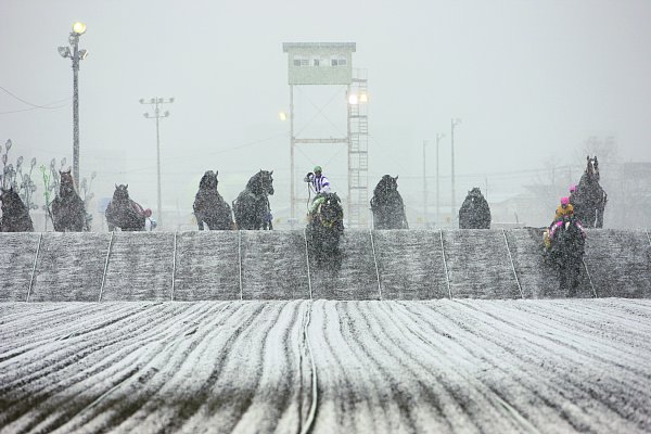 最大の見せ場である1.6mの第2障害