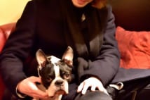 渋谷のバーの犬店長 接客特技はハイタッチとチュー