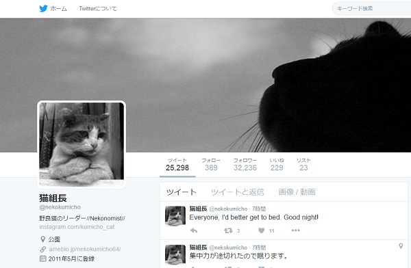 現在は「猫組長」の名で活動（Twitterのスクリーンショット）