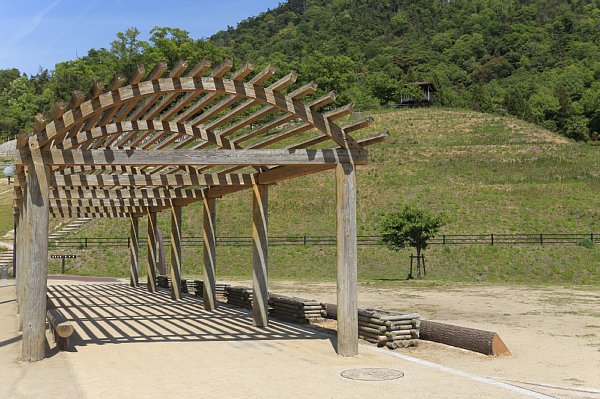 庭園のベンチの上にある蔓が絡まっているアレ