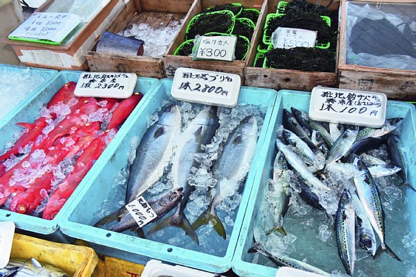 一本買いできる魚は、その日の朝に競り落とされ鮮度抜群