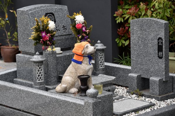 飼い主とペットが一緒に入れるお墓を建てることができる泰聖寺